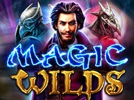 Magic wilds